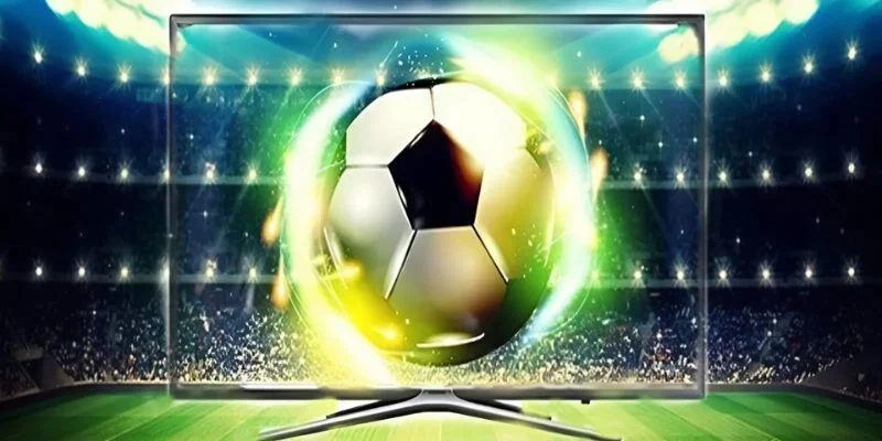 Quy Định Bản Quyền CakhiaTV - Những Chính Sách Cần Biết 2026 3 Trách nhiệm người dùng trong bản quyền của cakhiaz