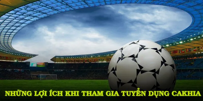 Tuyển dụng Cakhia - Cơ hội nghề nghiệp đỉnh cao trong 2026 3 Những lợi ích hấp dẫn khi tham gia tuyển dụng cakhia