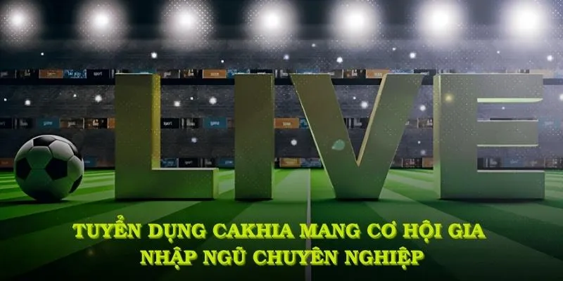 Tuyển dụng Cakhia - Cơ hội nghề nghiệp đỉnh cao trong 2026 1 Tuyển dụng cakhia mang đến cơ hội gia nhập đội ngũ chuyên nghiệp